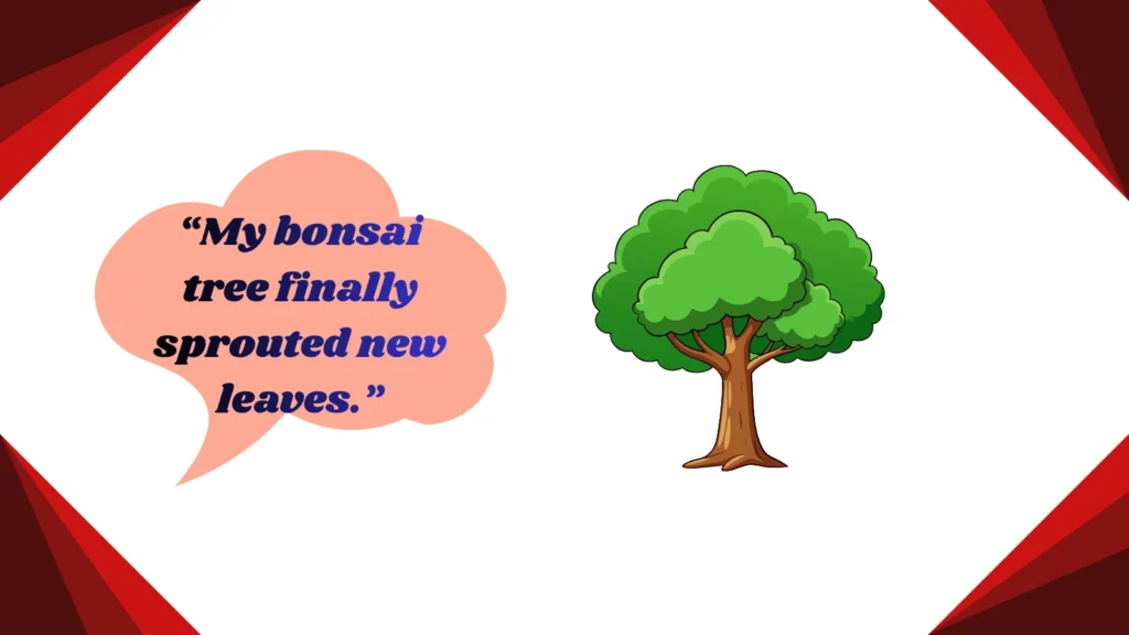 bonsai meaning